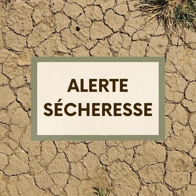 Alerte sécheresse